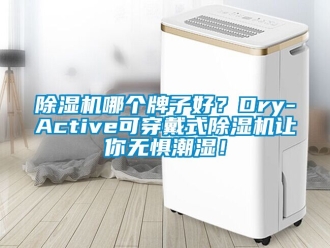 行業(yè)新聞除濕機哪個牌子好？Dry-Active可穿戴式除濕機讓你無懼潮濕！