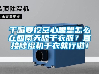 常見(jiàn)問(wèn)題干嘛要挖空心思想怎么在回南天晾干衣服？直接除濕機(jī)干衣就行啦！