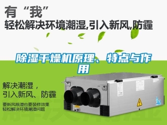 企業(yè)新聞除濕干燥機(jī)原理、特點(diǎn)與作用