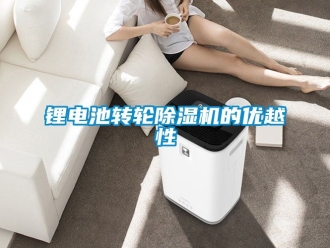 常見問題鋰電池轉(zhuǎn)輪除濕機的優(yōu)越性