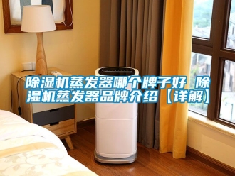 企業(yè)新聞除濕機(jī)蒸發(fā)器哪個牌子好 除濕機(jī)蒸發(fā)器品牌介紹【詳解】