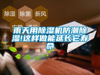行業(yè)新聞雨天用除濕機(jī)防潮除濕!這樣做能延長它壽命