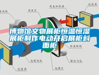 知識百科博物館文物展柜恒溫恒濕展柜制作電動開啟展柜斜面柜