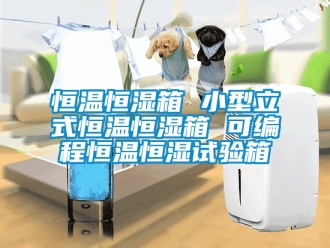 知識百科恒溫恒濕箱 小型立式恒溫恒濕箱 可編程恒溫恒濕試驗箱