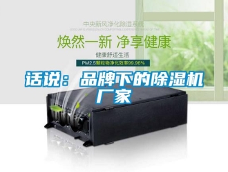 行業(yè)新聞話說(shuō)：品牌下的除濕機(jī)廠家