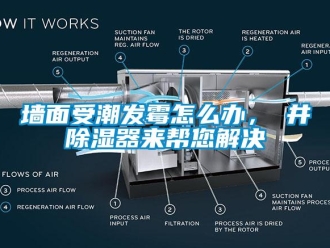 行業(yè)新聞墻面受潮發(fā)霉怎么辦，東井除濕器來(lái)幫您解決