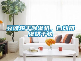 行業(yè)新聞豆豉烘干除濕機，自動排濕烘干快
