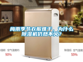 行業(yè)新聞梅雨季節(jié)衣服難干，為什么除濕機(jī)仍然不火？