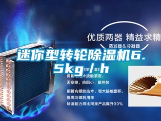 行業(yè)新聞迷你型轉(zhuǎn)輪除濕機(jī)6.5kg／h