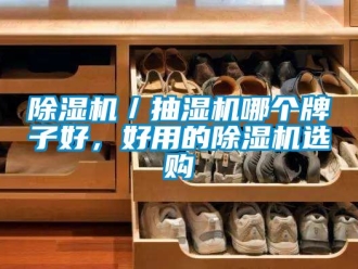 企業(yè)新聞除濕機(jī)／抽濕機(jī)哪個(gè)牌子好，好用的除濕機(jī)選購