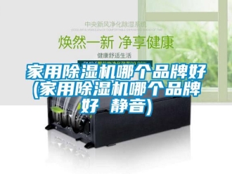 企業(yè)新聞家用除濕機哪個品牌好(家用除濕機哪個品牌好 靜音)