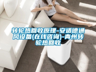 常見問題轉(zhuǎn)輪熱回收原理-安適德通風(fēng)設(shè)備(在線咨詢)-青州轉(zhuǎn)輪熱回收