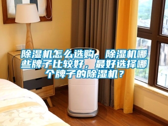 行業(yè)新聞除濕機怎么選購，除濕機哪些牌子比較好，最好選擇哪個牌子的除濕機？
