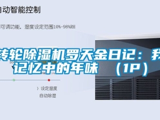 常見問題轉(zhuǎn)輪除濕機羅天金日記：我記憶中的年味 （1P）