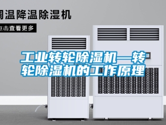 常見問題工業(yè)轉(zhuǎn)輪除濕機(jī)—轉(zhuǎn)輪除濕機(jī)的工作原理