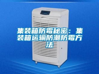 常見(jiàn)問(wèn)題集裝箱防霉秘密：集裝箱運(yùn)輸防潮防霉方法