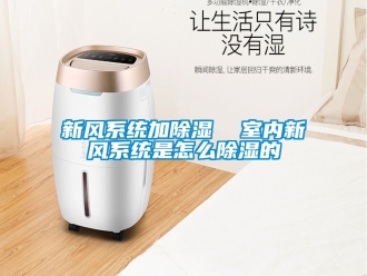 行業(yè)新聞新風(fēng)系統(tǒng)加除濕  室內(nèi)新風(fēng)系統(tǒng)是怎么除濕的