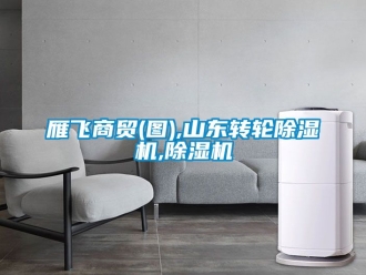 常見(jiàn)問(wèn)題雁飛商貿(mào)(圖),山東轉(zhuǎn)輪除濕機(jī),除濕機(jī)