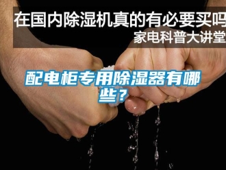 行業(yè)新聞配電柜專用除濕器有哪些？