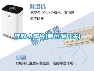知識(shí)百科硅膠電熱片(帶恒溫開關(guān))