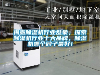 企業(yè)新聞揭露除濕機(jī)行業(yè)亂象，探索除濕機(jī)行業(yè)十大品牌，除濕機(jī)哪個(gè)牌子最好！