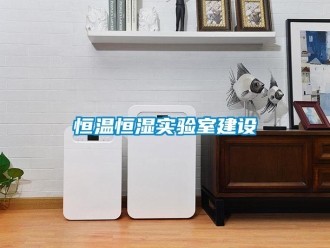 知識(shí)百科恒溫恒濕實(shí)驗(yàn)室建設(shè)