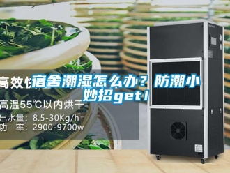 常見(jiàn)問(wèn)題宿舍潮濕怎么辦？防潮小妙招g(shù)et！