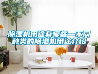 行業(yè)新聞除濕機用途有哪些—不同種類的除濕機用途介紹