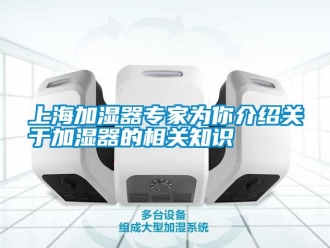 知識(shí)百科上海加濕器專(zhuān)家為你介紹關(guān)于加濕器的相關(guān)知識(shí)