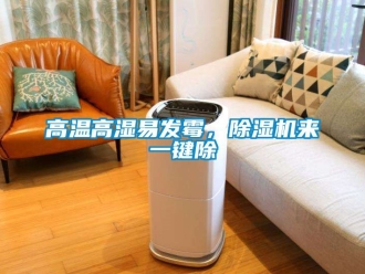 行業(yè)新聞高溫高濕易發(fā)霉，除濕機來一鍵除