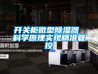 行業(yè)新聞開關(guān)柜微型除濕器 科學(xué)原理實(shí)現(xiàn)精準(zhǔn)管控