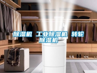 常見問題除濕機 工業(yè)除濕機 轉(zhuǎn)輪除濕機