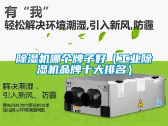 常見問題除濕機哪個牌子好（工業(yè)除濕機品牌十大排名）