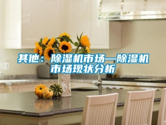 行業(yè)新聞其他：除濕機市場—除濕機市場現(xiàn)狀分析