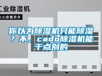 行業(yè)新聞你以為除濕機(jī)只能除濕？不，cado除濕機(jī)能干點(diǎn)別的