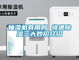 企業(yè)新聞抽濕機(jī)有用嗎 快速除濕三大妙招介紹