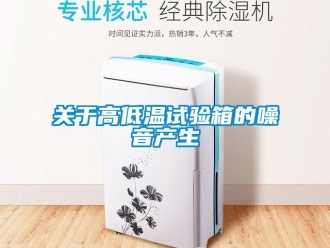 常見問題關(guān)于高低溫試驗(yàn)箱的噪音產(chǎn)生