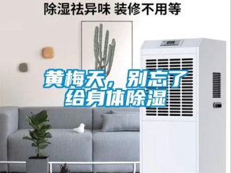 行業(yè)新聞黃梅天，別忘了給身體除濕