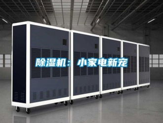 常見問題除濕機(jī)：小家電新寵