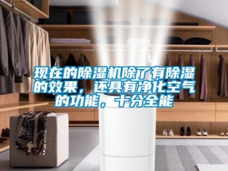 行業(yè)新聞現(xiàn)在的除濕機(jī)除了有除濕的效果，還具有凈化空氣的功能，十分全能