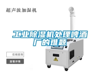 企業(yè)新聞工業(yè)除濕機(jī)處理啤酒廠的難題