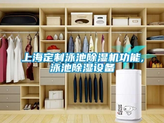 行業(yè)新聞上海定制泳池除濕機功能,泳池除濕設(shè)備