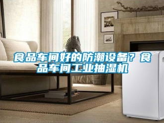 企業(yè)新聞食品車間好的防潮設(shè)備？食品車間工業(yè)抽濕機(jī)
