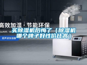 行業(yè)新聞買除濕機(jī)后悔了（除濕機(jī)哪個牌子好性價比高）