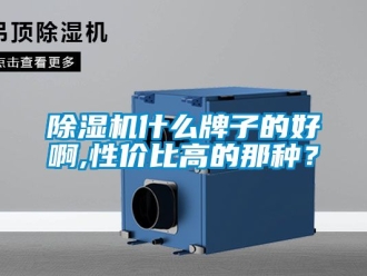 行業(yè)新聞除濕機(jī)什么牌子的好啊,性價(jià)比高的那種？
