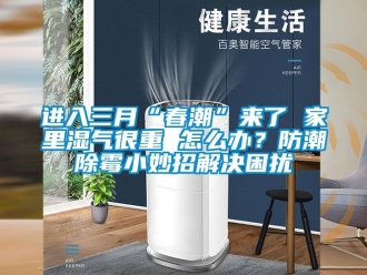 常見問題進(jìn)入三月“春潮”來了 家里濕氣很重 怎么辦？防潮除霉小妙招解決困擾