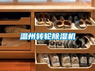 常見(jiàn)問(wèn)題溫州轉(zhuǎn)輪除濕機(jī)