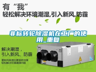 常見(jiàn)問(wèn)題非標(biāo)轉(zhuǎn)輪除濕機(jī)在工廠(chǎng)的使用_重復(fù)