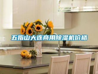 常見問題五指山大連商用除濕機(jī)價(jià)格
