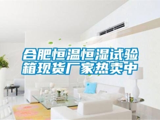 知識百科合肥恒溫恒濕試驗箱現(xiàn)貨廠家熱賣中